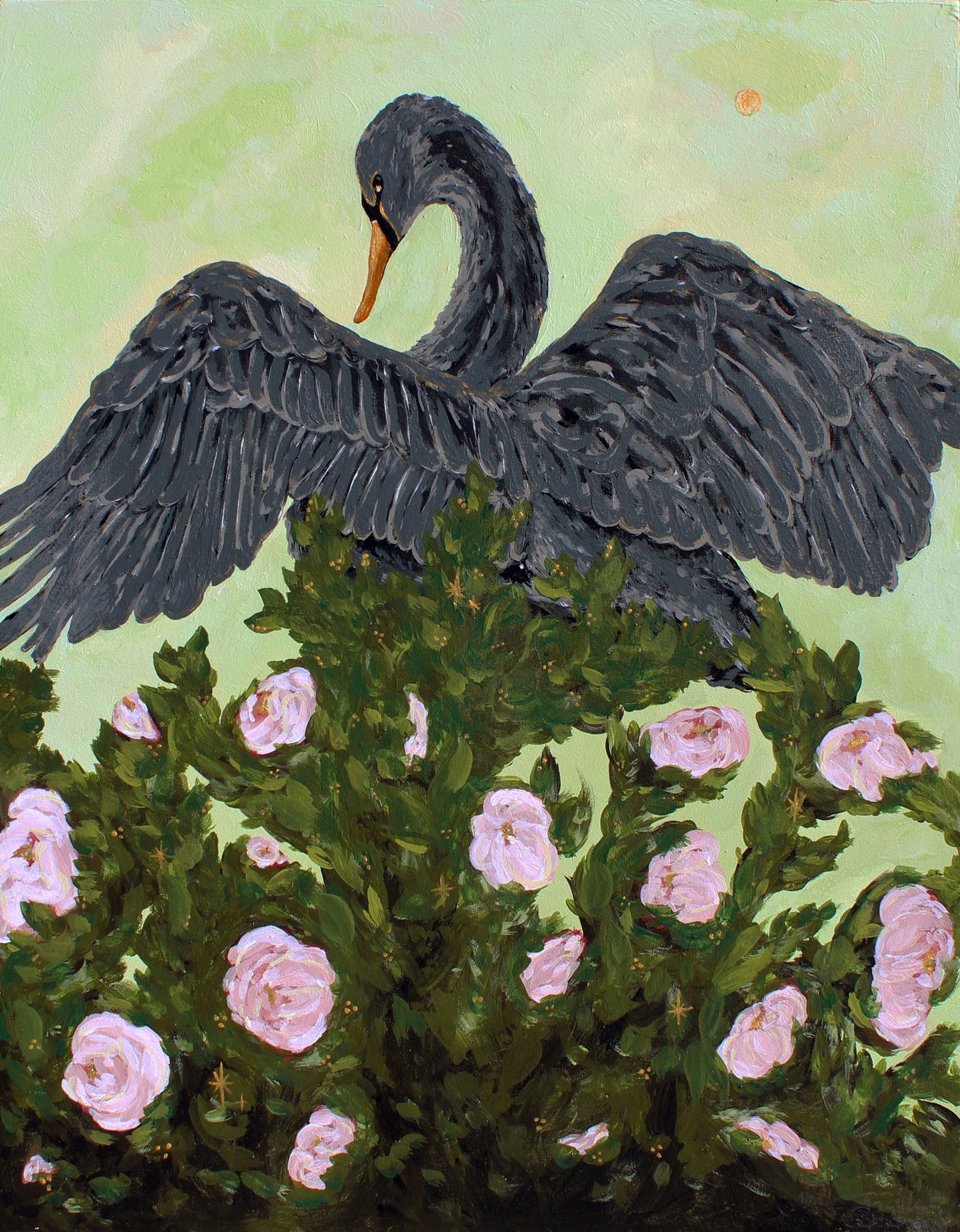 The Empress Black Swan